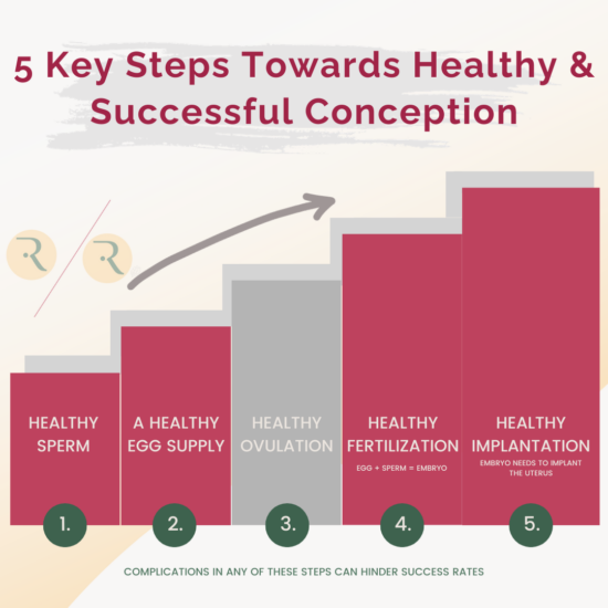steps to successful conception