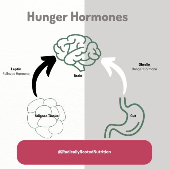 Ghrelin Hunger Hormone skipping meals