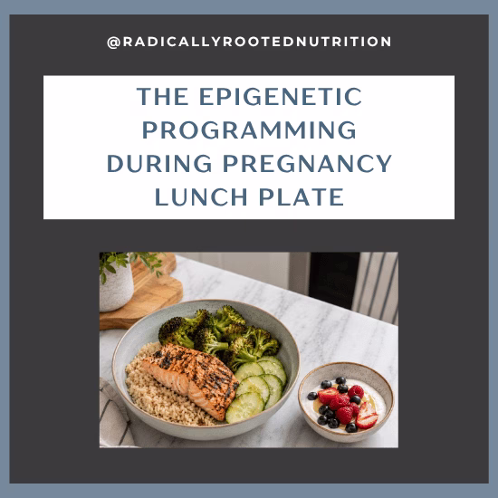 How to support epigenetic programming with food during pregnancy: daily framework showing protein, folate, seafood, and prenatal supplement priorities, with a sample prenatal lunch.