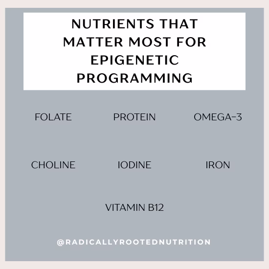 Key nutrients for epigenetic programming during pregnancy: folate, choline, DHA, B12, iron, and iodine — evidence-based prenatal nutrition guide by Radically Rooted Nutrition.